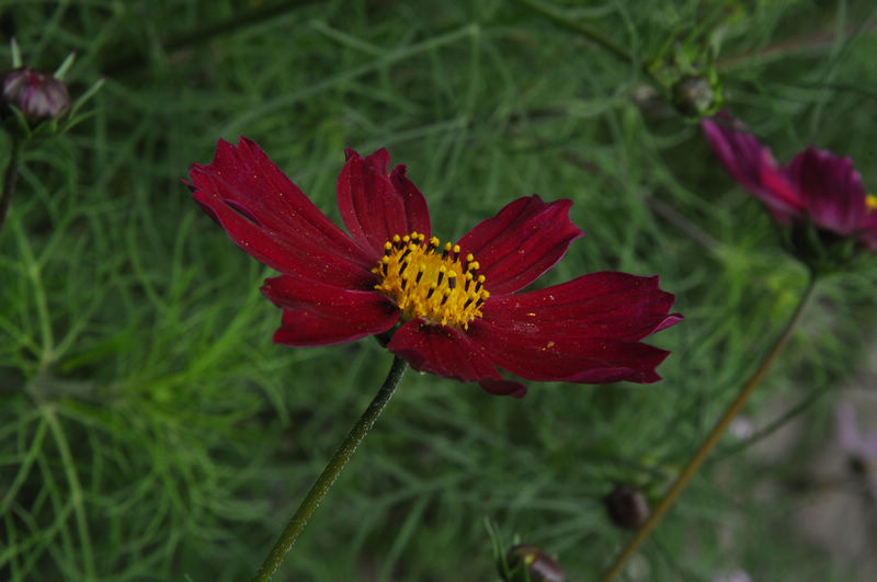 dsc_0205.jpg
