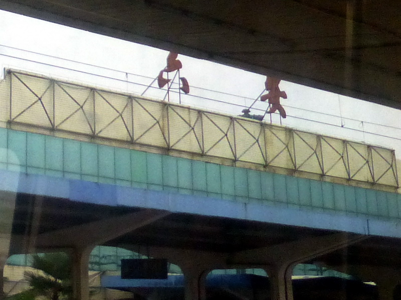 p1250570.jpg