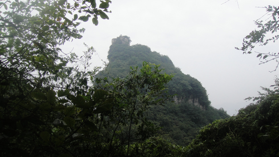 dsc05548.jpg