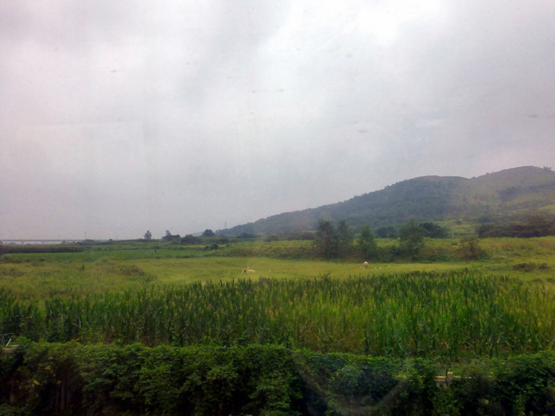p1250576.jpg