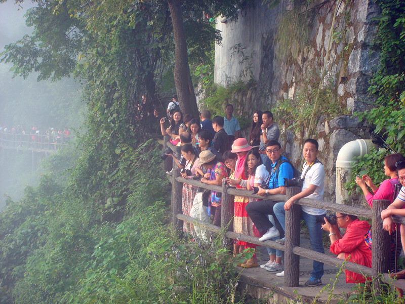 dsc07782_副本_副本.jpg