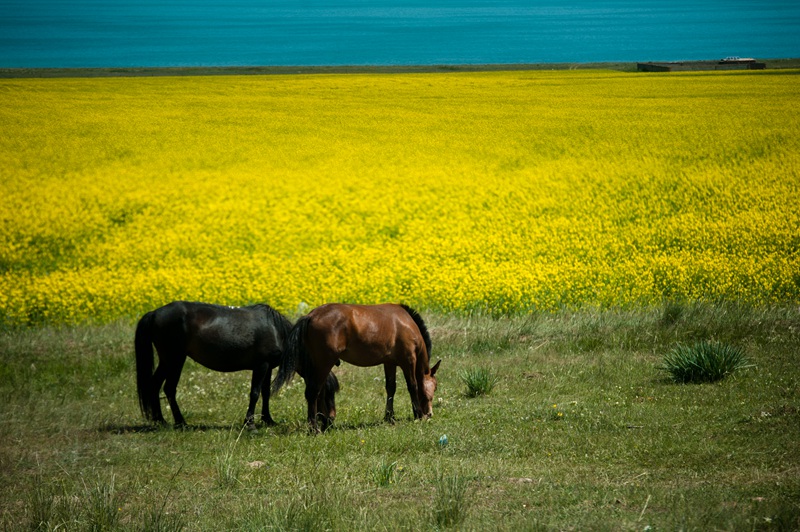 dsc_0180_.jpg