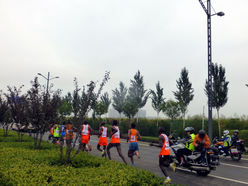 p1260160.jpg