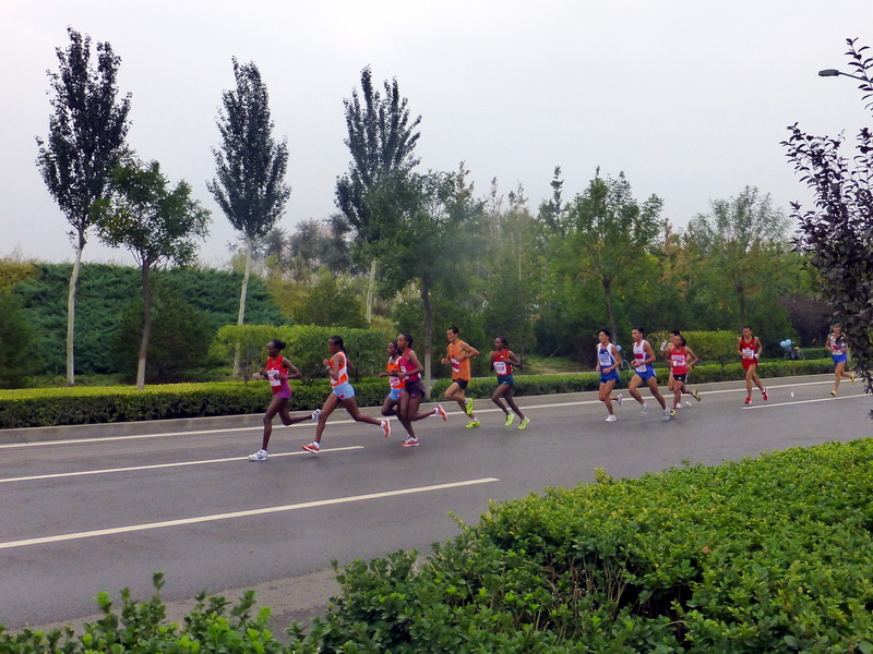 p1260164.jpg