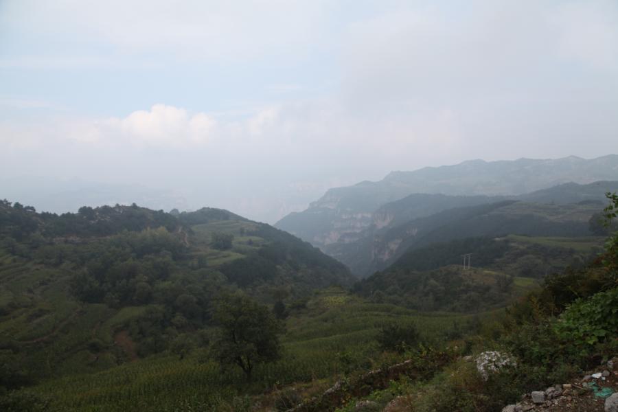 img_7653.jpg