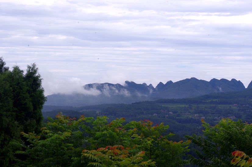 imgp7330_.jpg