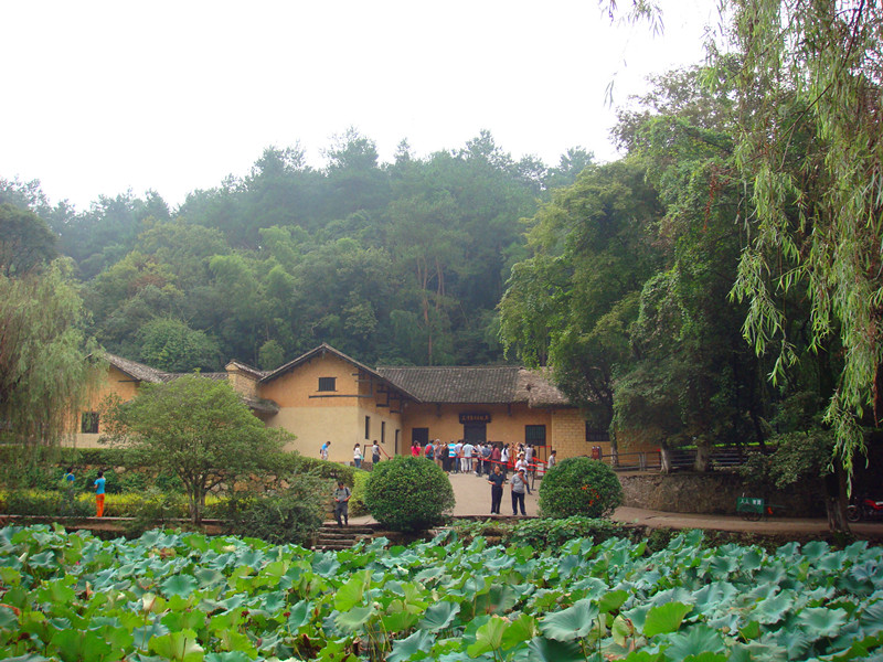 dsc07701_副本_副本.jpg