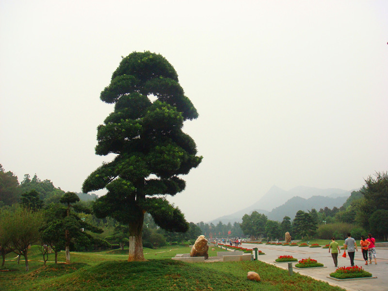 dsc07714_副本_副本.jpg