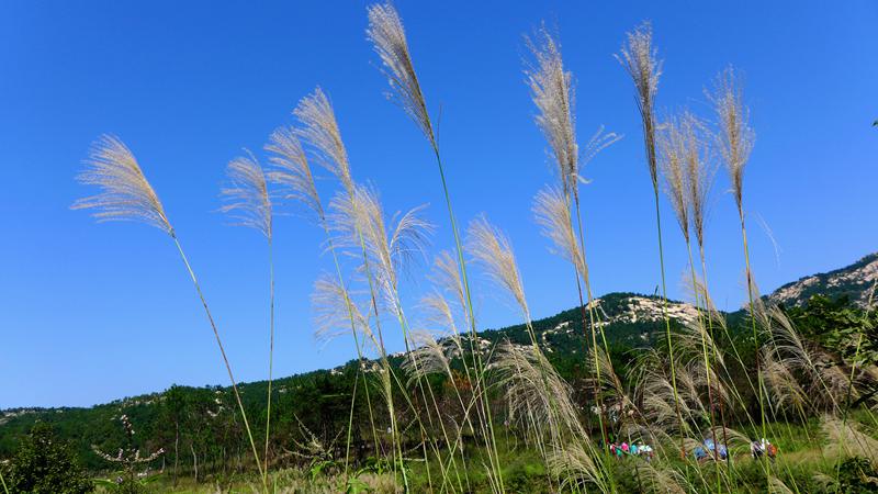 p1290225_.jpg