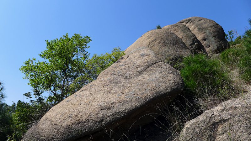 p1290268_.jpg