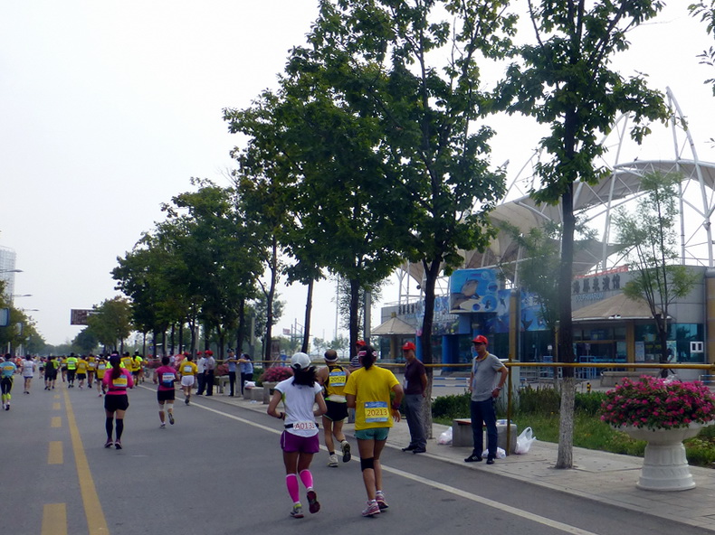 p1250767.jpg