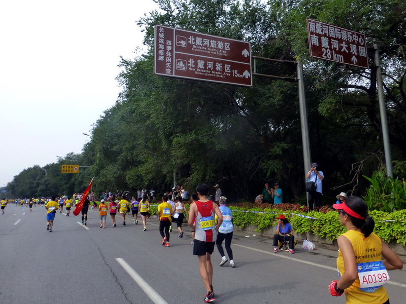p1250787.jpg