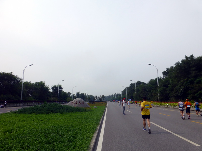 p1250790.jpg