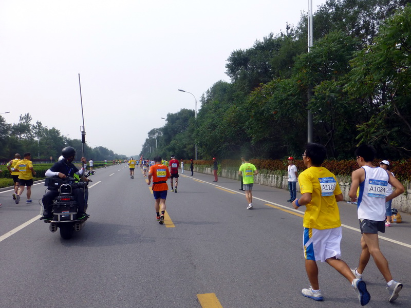 p1250792.jpg