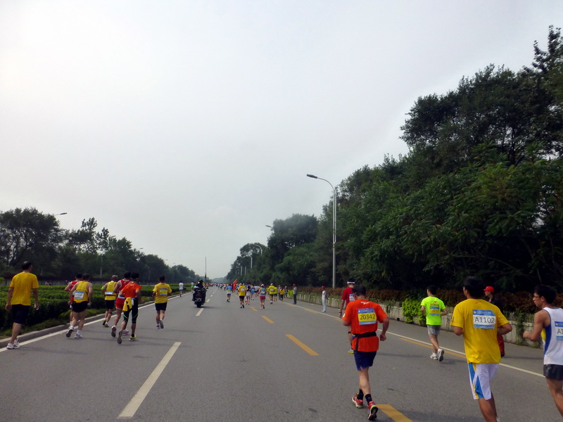 p1250793.jpg
