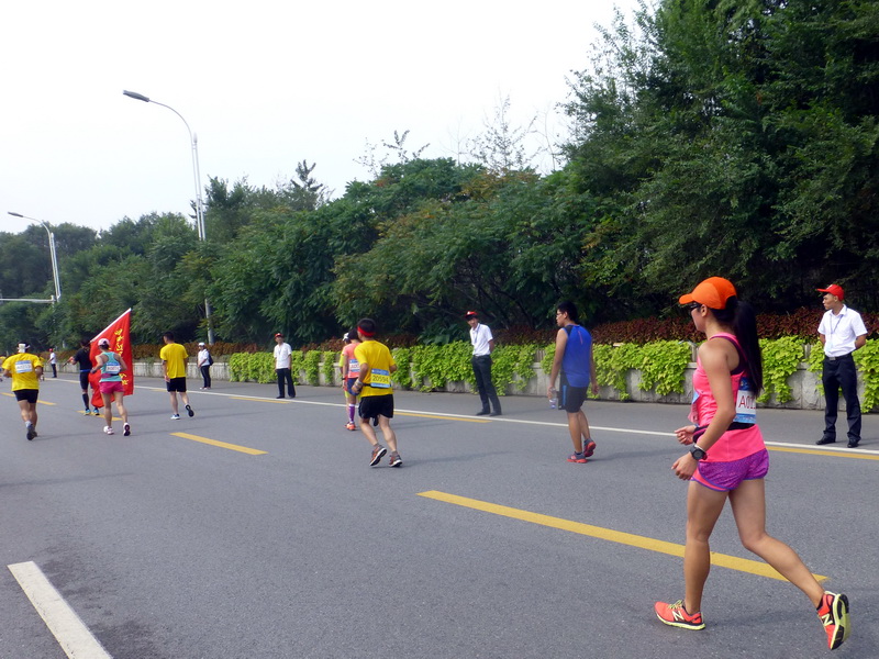 p1250797.jpg
