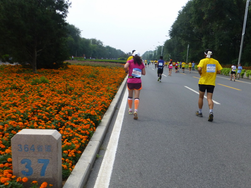 p1250799.jpg