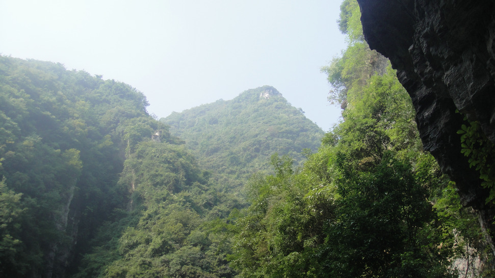 dsc05413.jpg