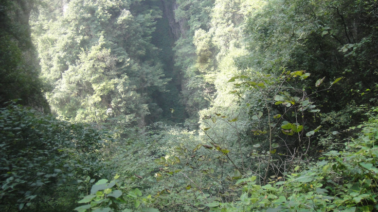 dsc05414.jpg