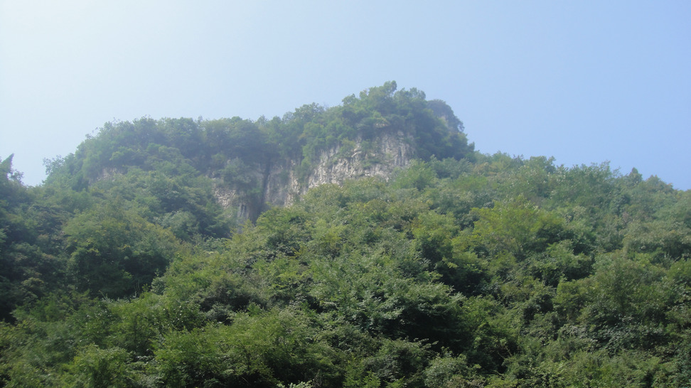 dsc05438.jpg