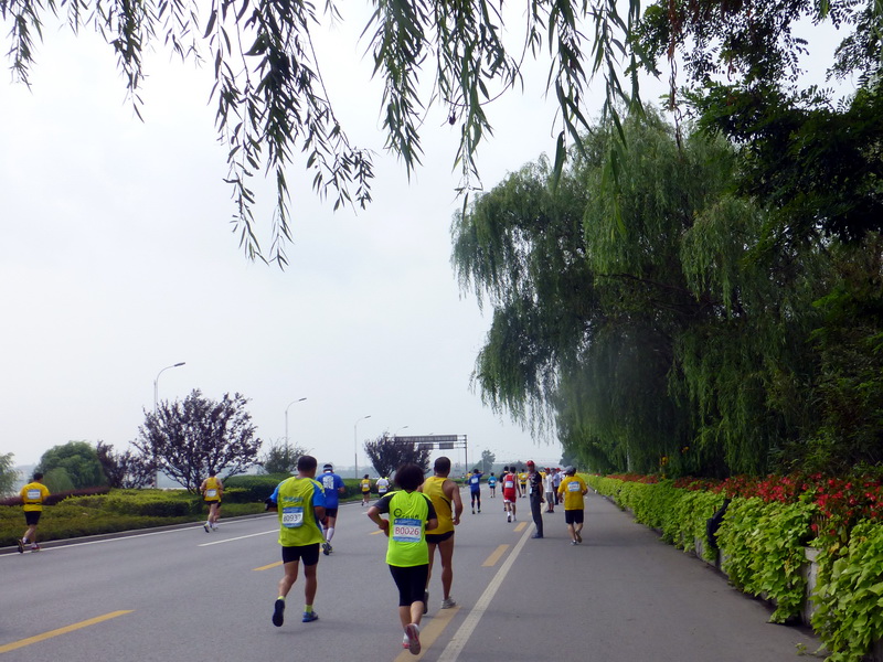p1250818.jpg