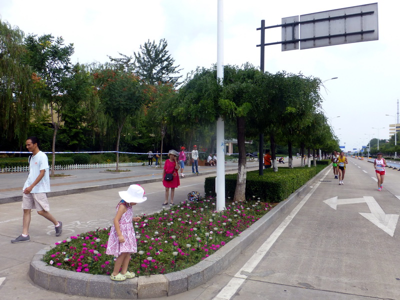 p1250859.jpg
