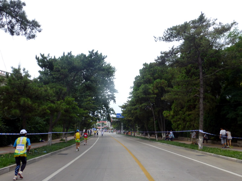 p1250874.jpg