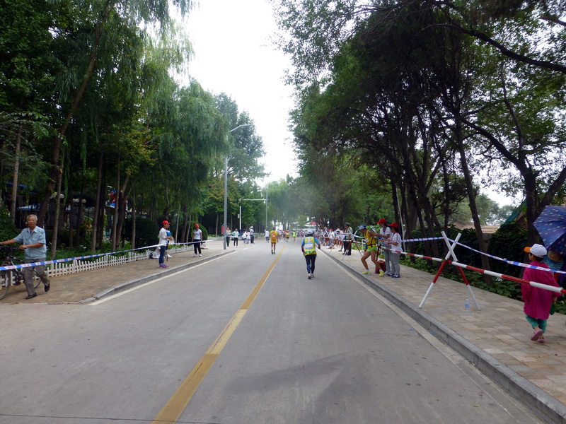 p1250882.jpg