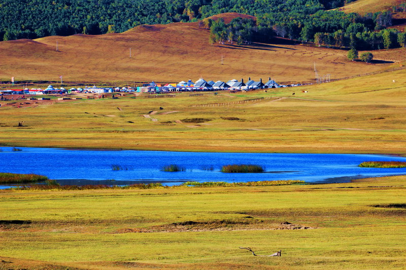 img_7218_缩小大小.jpg