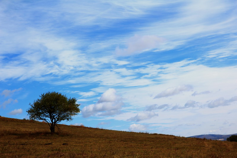 img_7009_缩小大小.jpg