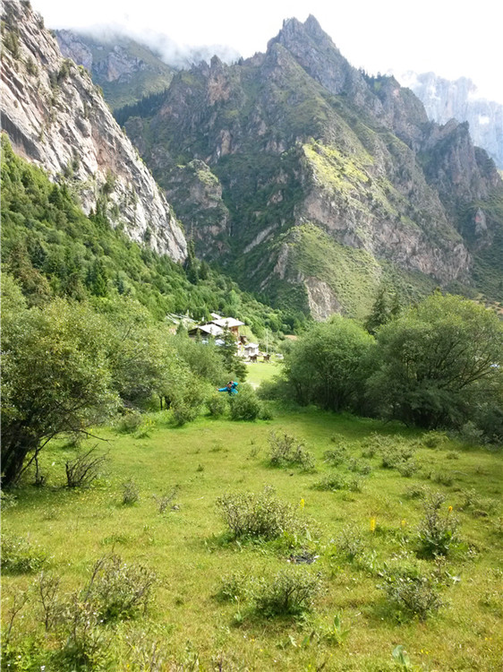 728.jpg