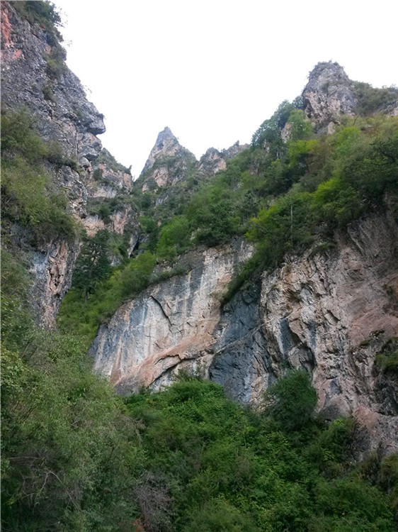 765.jpg