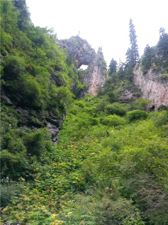 784.jpg