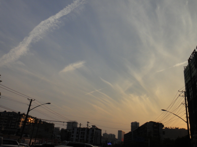 dsc04455.jpg