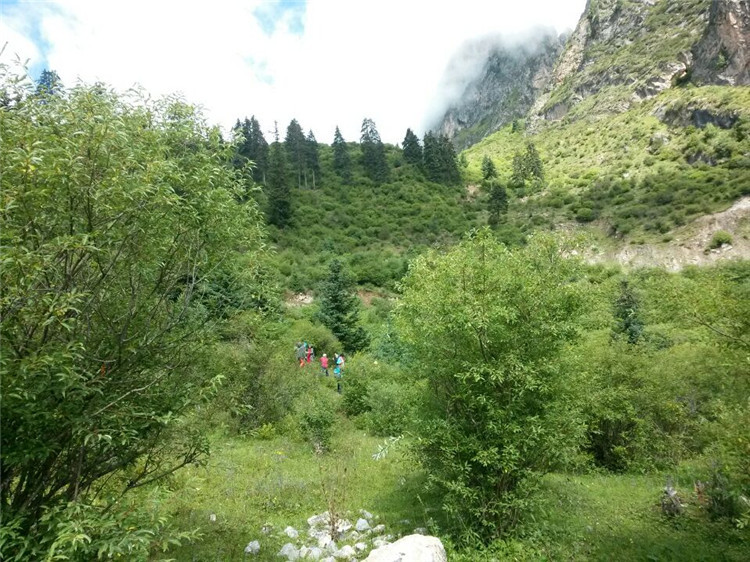 1189.jpg