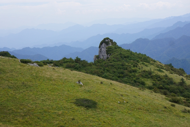 dsc02236_副本.jpg