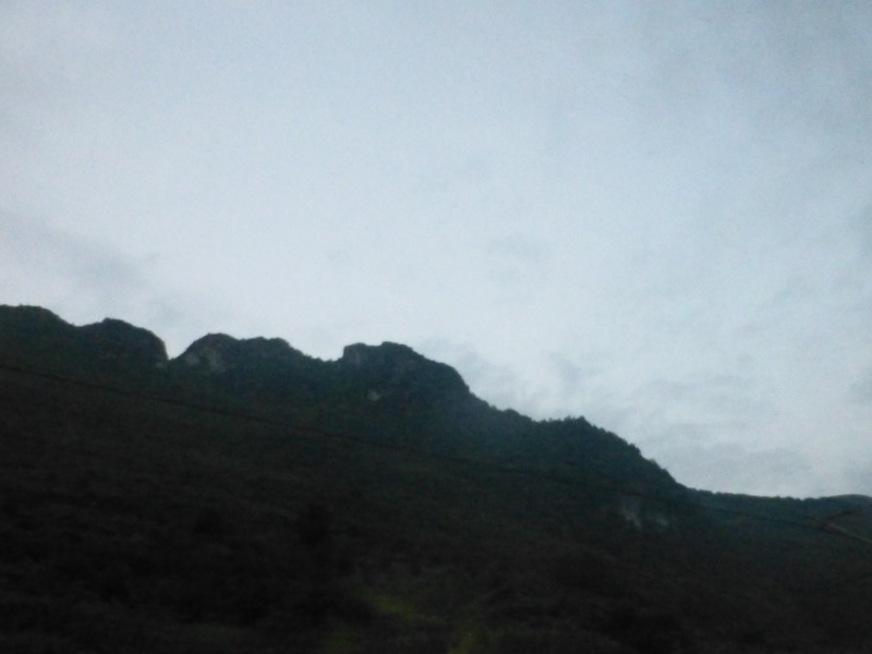 p1240041.jpg