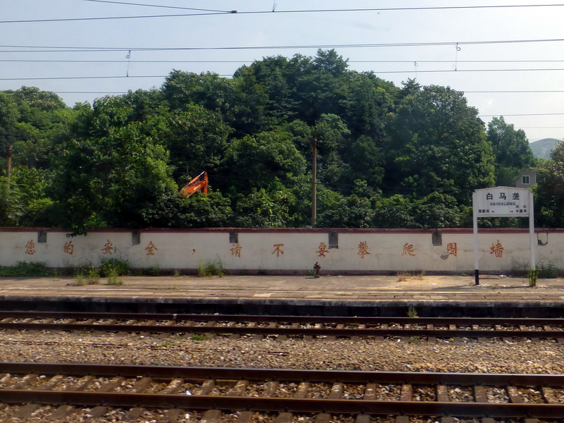 p1240055.jpg