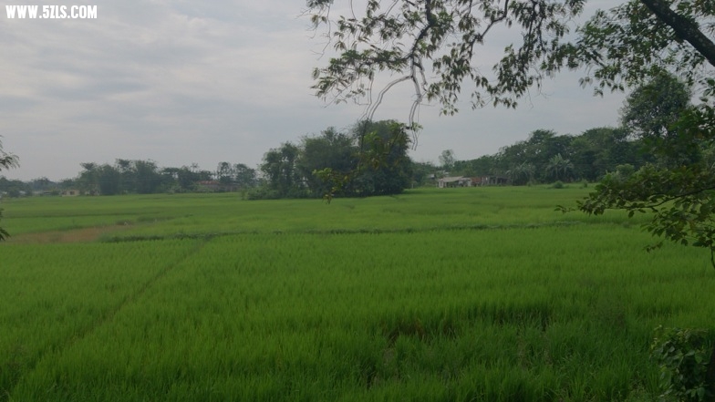 DSC_0463.jpg