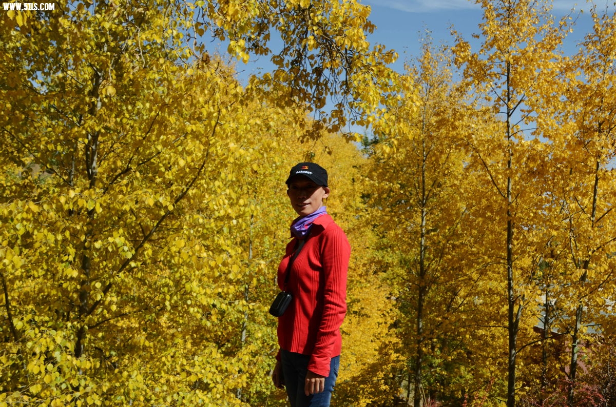 DSC_0937__.jpg