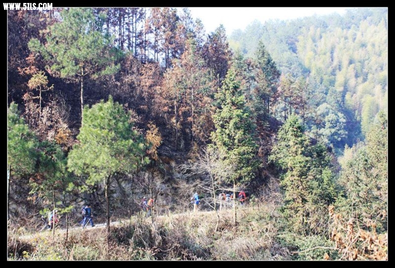 conew_img_0020.jpg