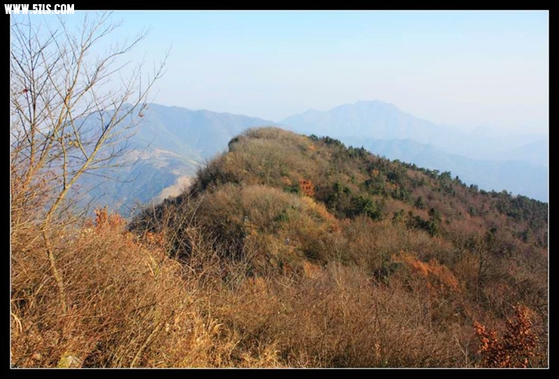 conew_img_0118.jpg