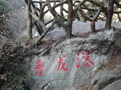 DSC02092.JPG