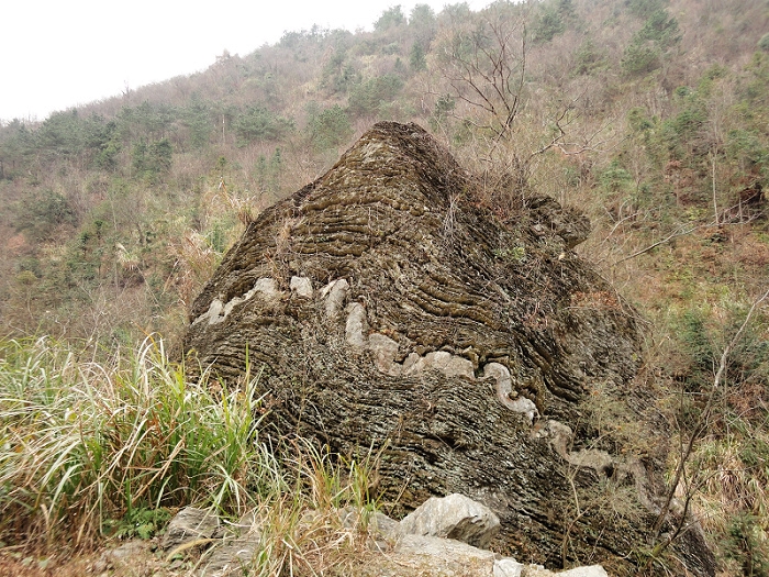 图116   形状奇异的山岩.jpg