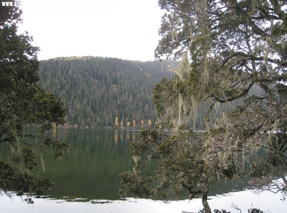 QQͼƬ20140103224559.jpg