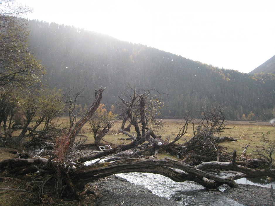 QQͼƬ20140103225155.jpg
