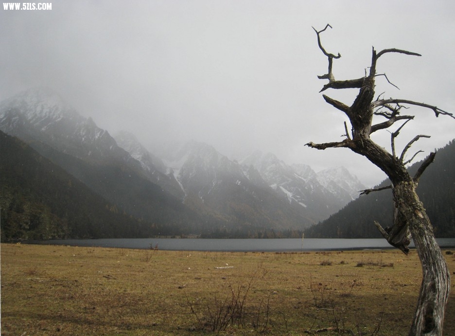 QQͼƬ20140103225308.jpg