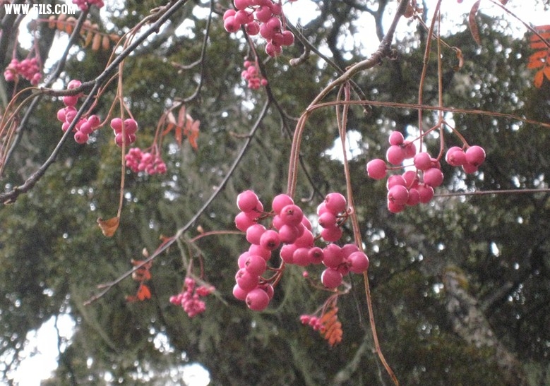 QQͼƬ20140103231223.jpg