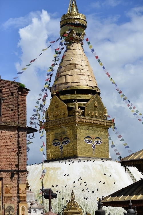 726_6255.jpg