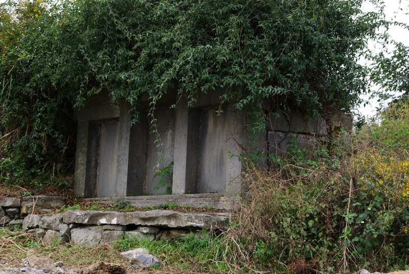 IMGP5742.jpg